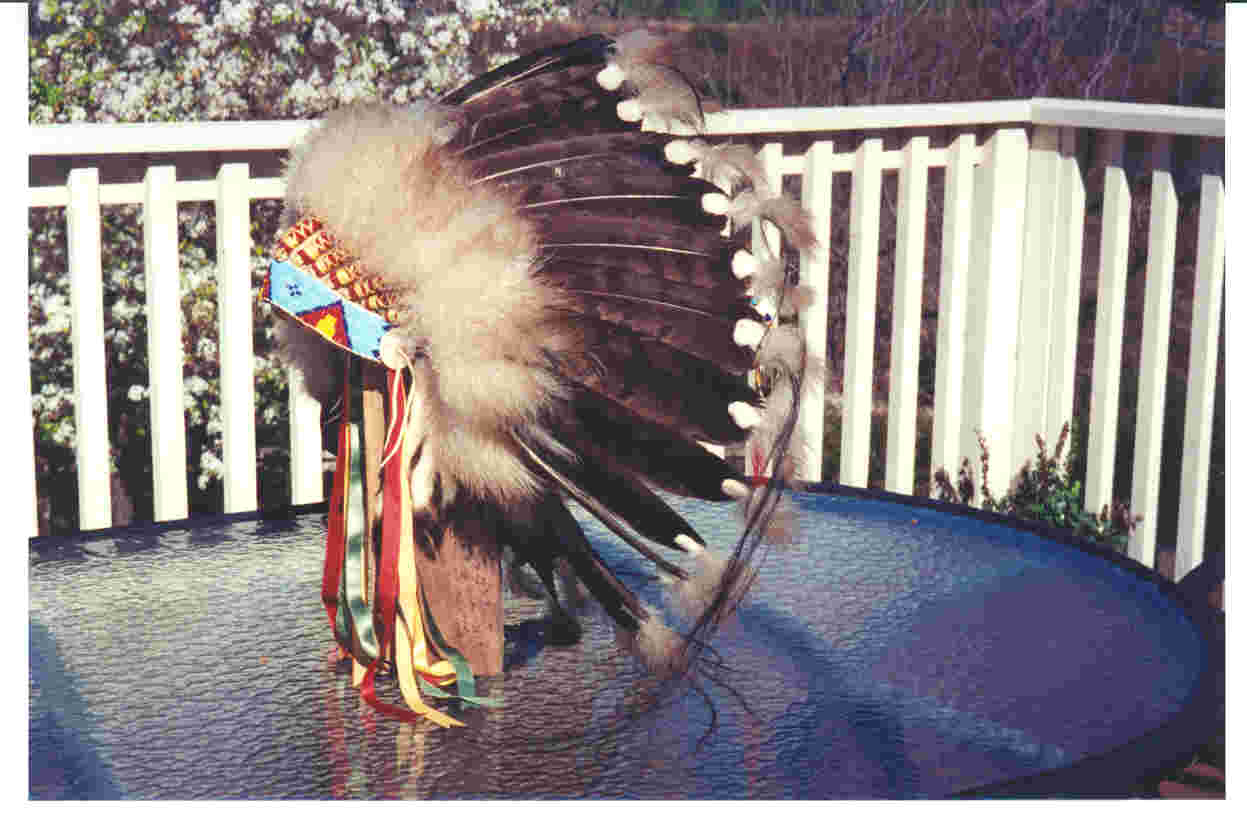 warbonnet.jpg