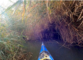 Kayaking